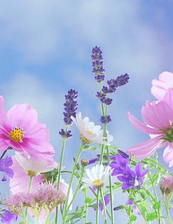 Faith E. Jamison Obituary